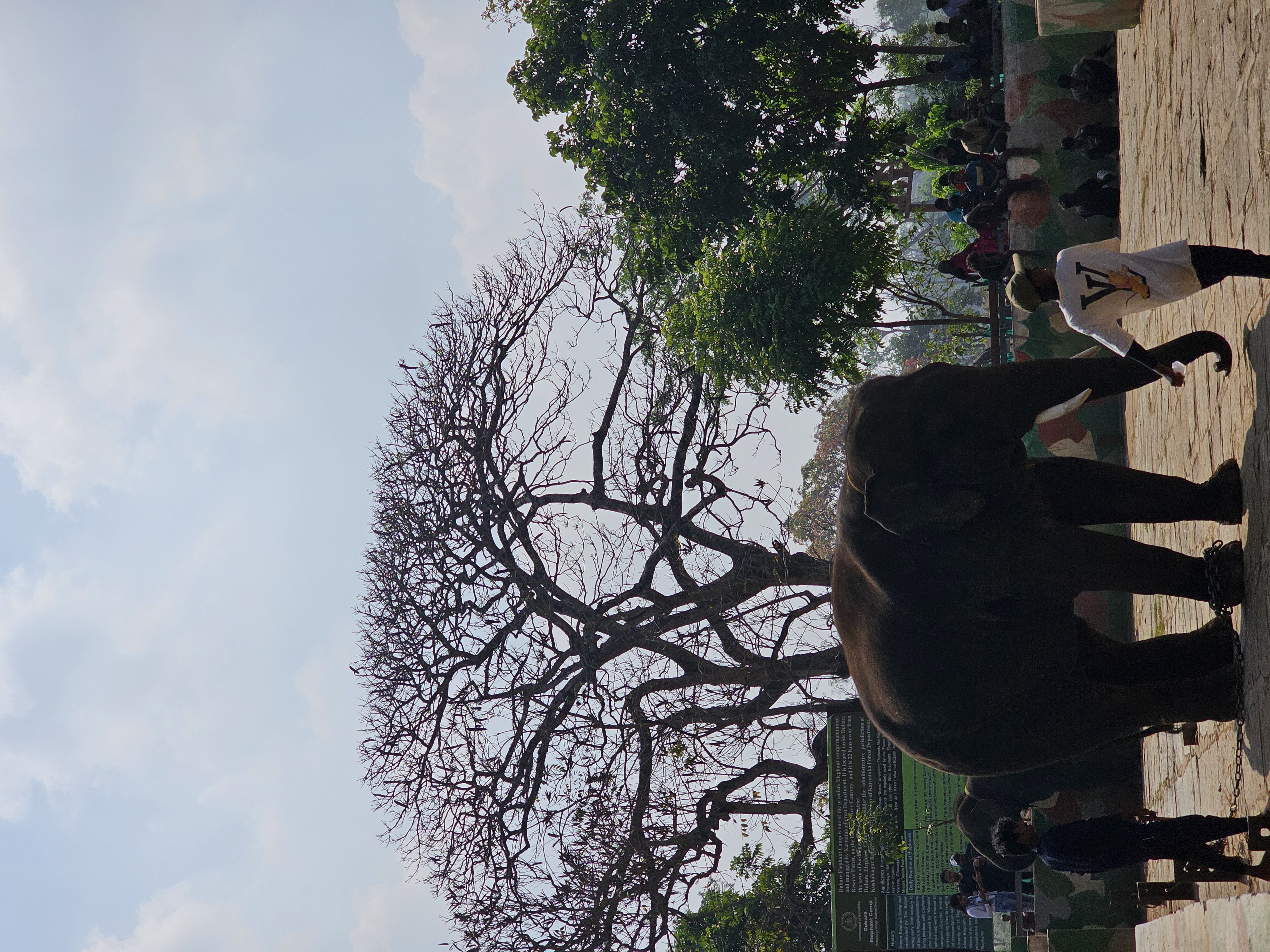 Travel Memory Mar 2024