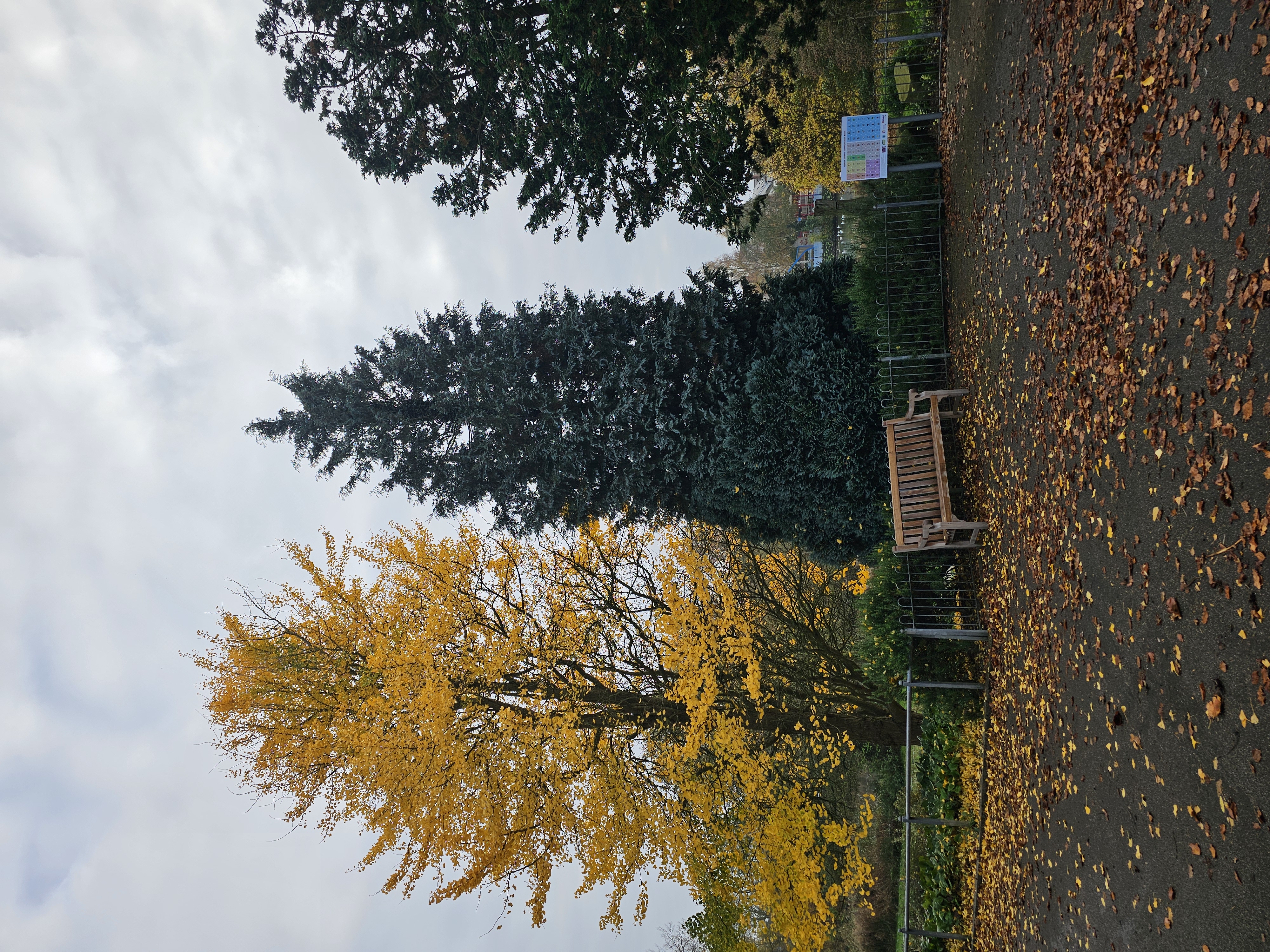 Travel Memory Nov 2024