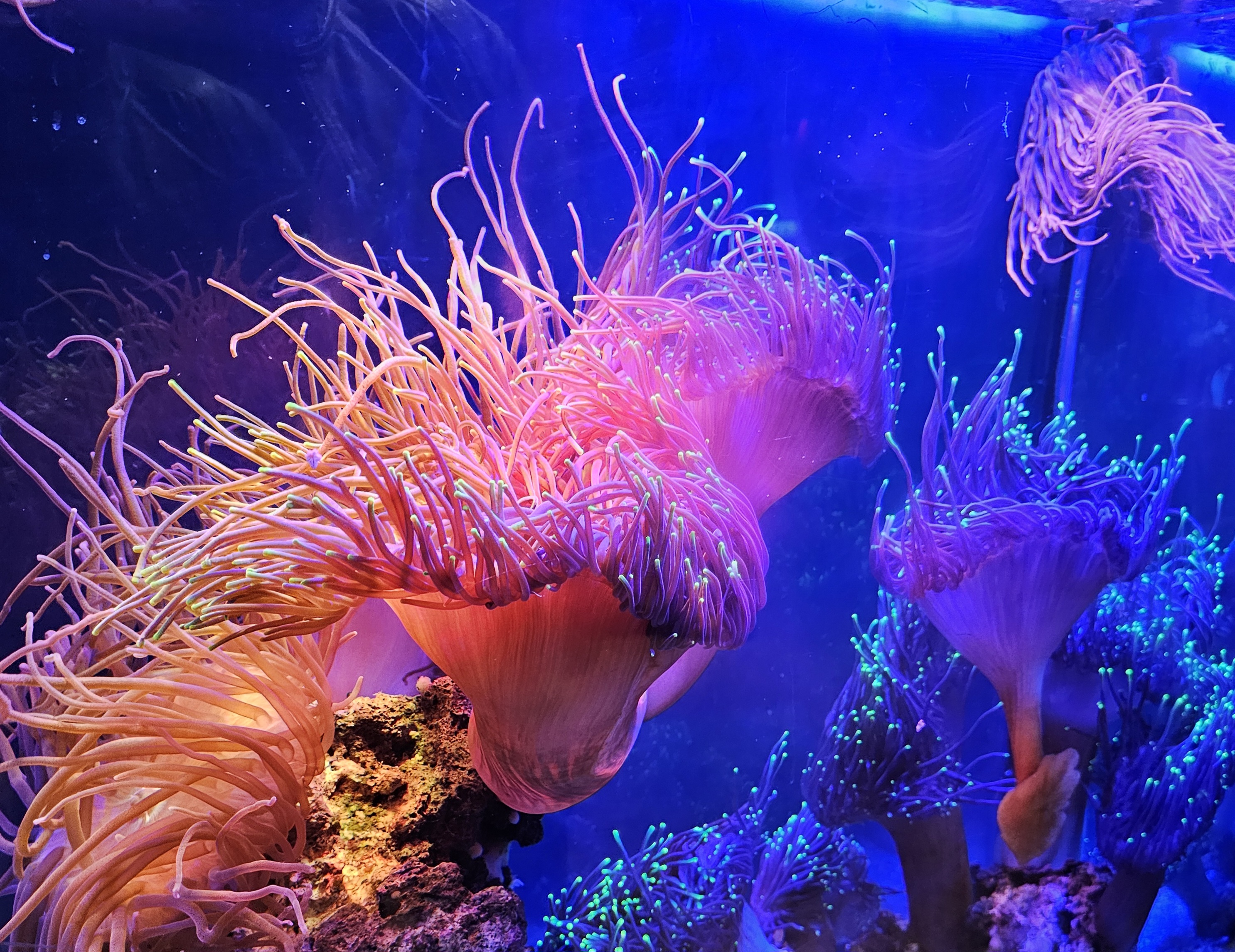 Travel Memory Nov 2024