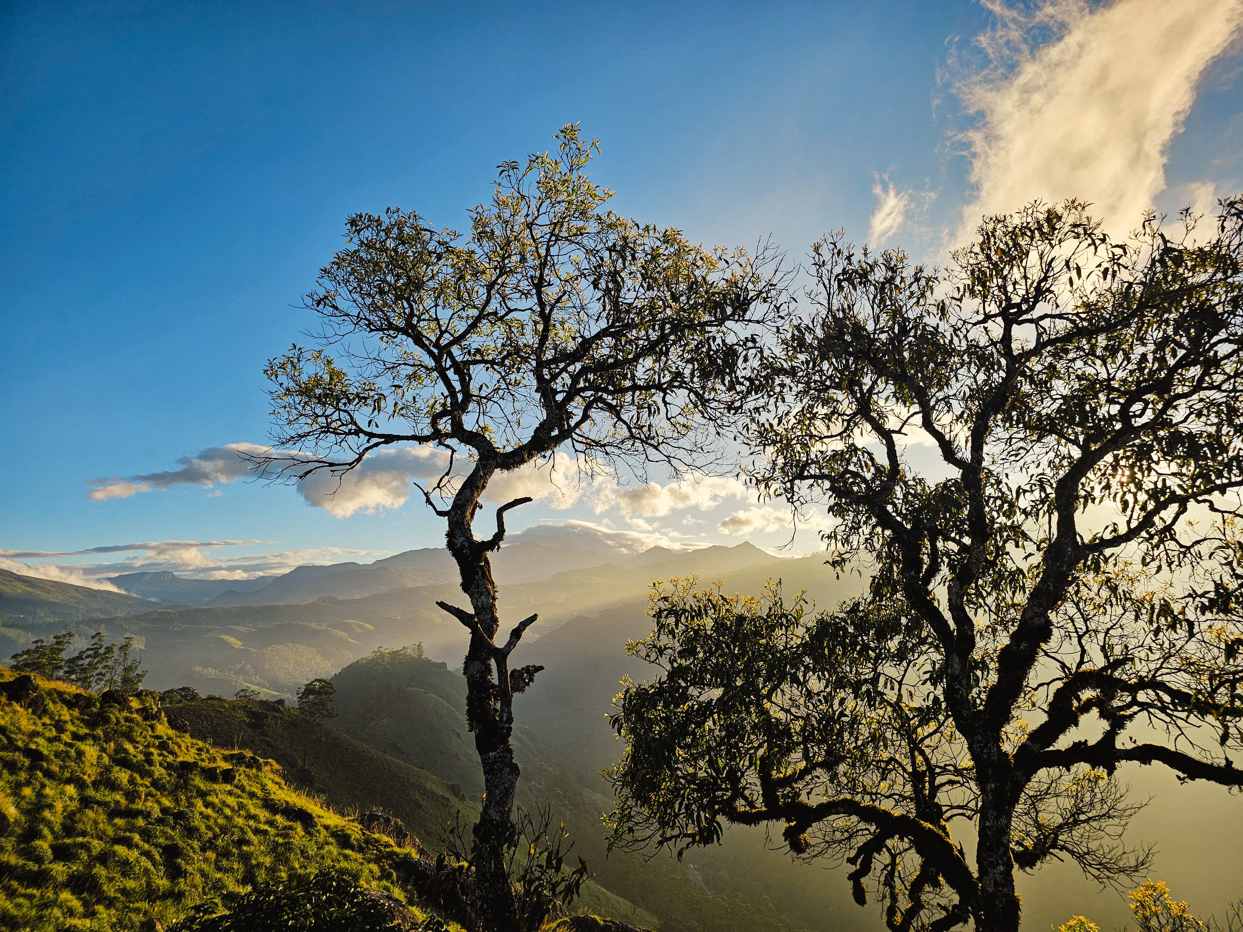 Travel Memory Dec 2023